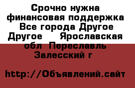 Срочно нужна финансовая поддержка! - Все города Другое » Другое   . Ярославская обл.,Переславль-Залесский г.